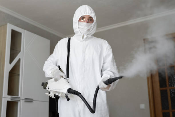 Why You Should Choose Our Mold Remediation Services in West Falmouth, MA